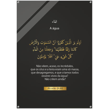 A Agua i The Water )-n Portuguese Acrylic Poster